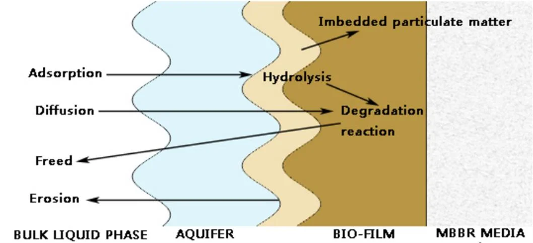 Mbbr Media K1 K3 Bio Filter Media